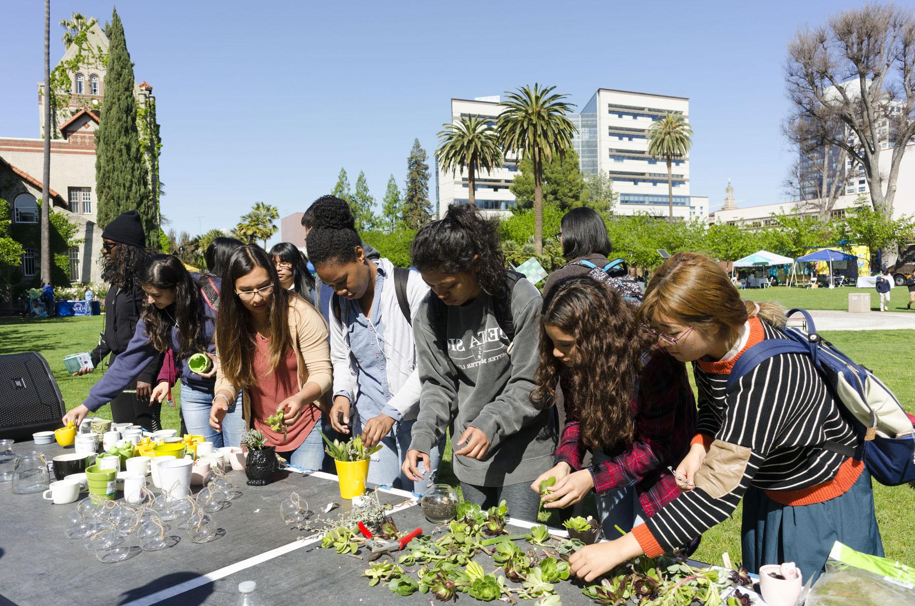 Students potting succulents